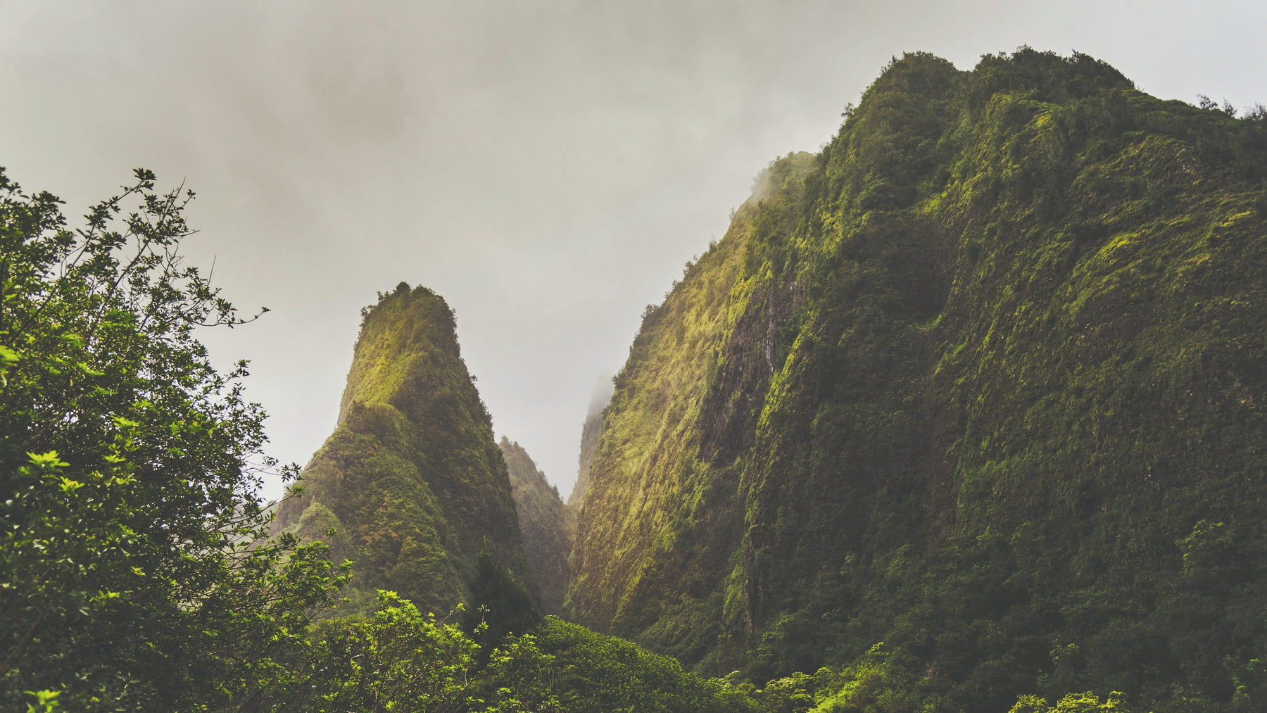 Mist over green mountain ridges