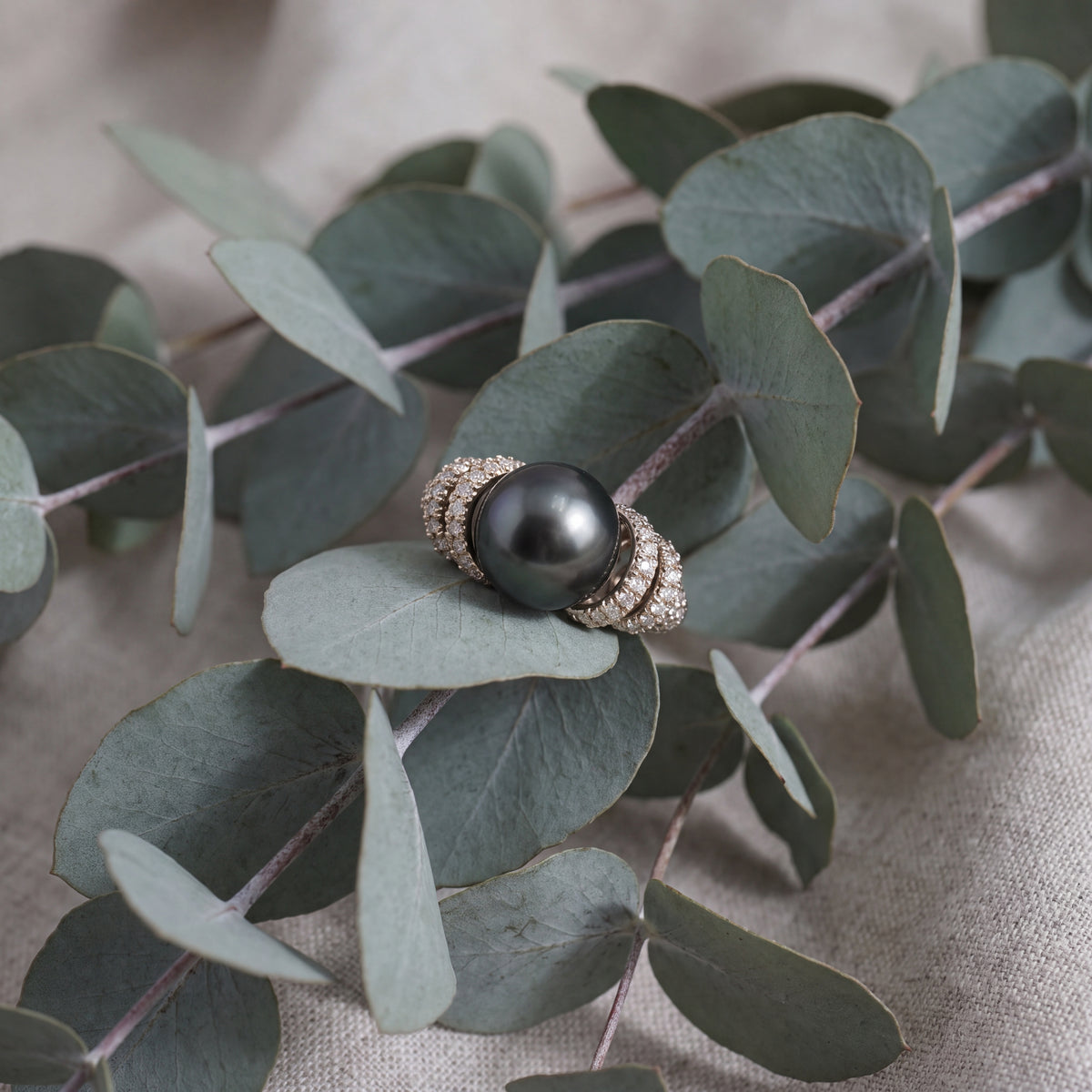 Dark pearl cocktail ring with rows of pavé on curved shoulders