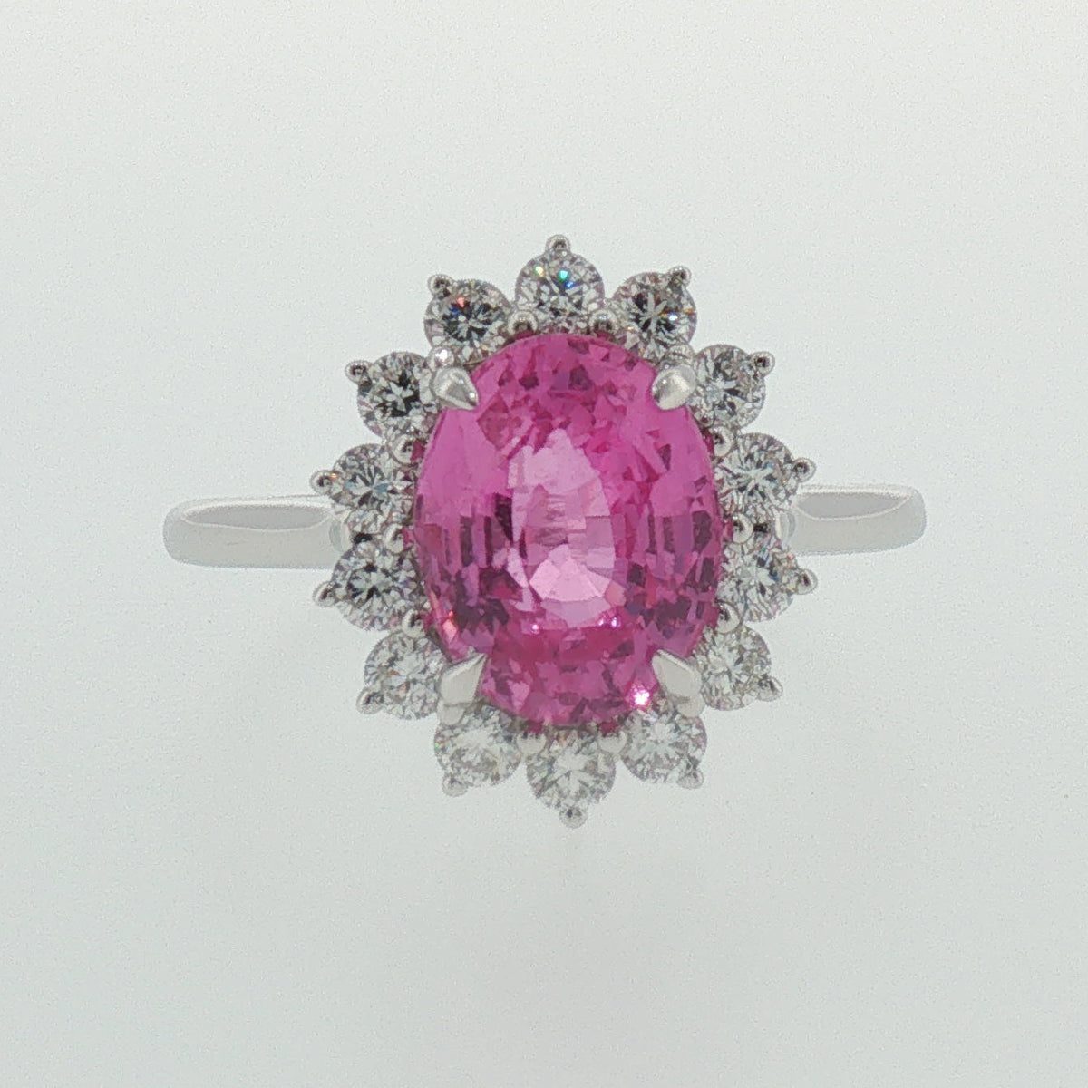 Vivid Pink Sapphire Halo Cocktail Ring in White Gold