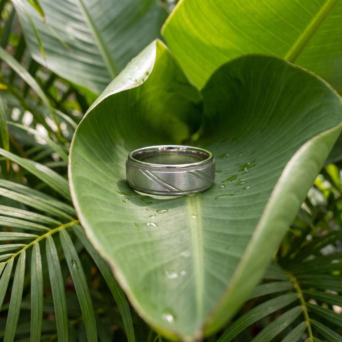Brushed white gold band with diagonal grooves and milgrain