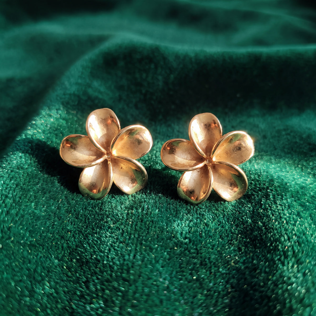 Plumeria Flower Stud Earrings in 14K Yellow Gold