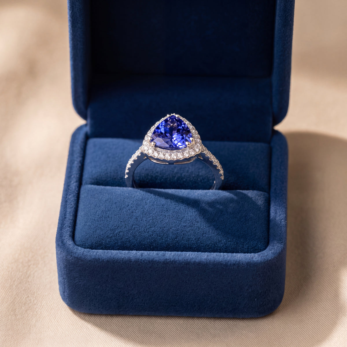 Trillion-cut tanzanite in a diamond halo on a white gold band