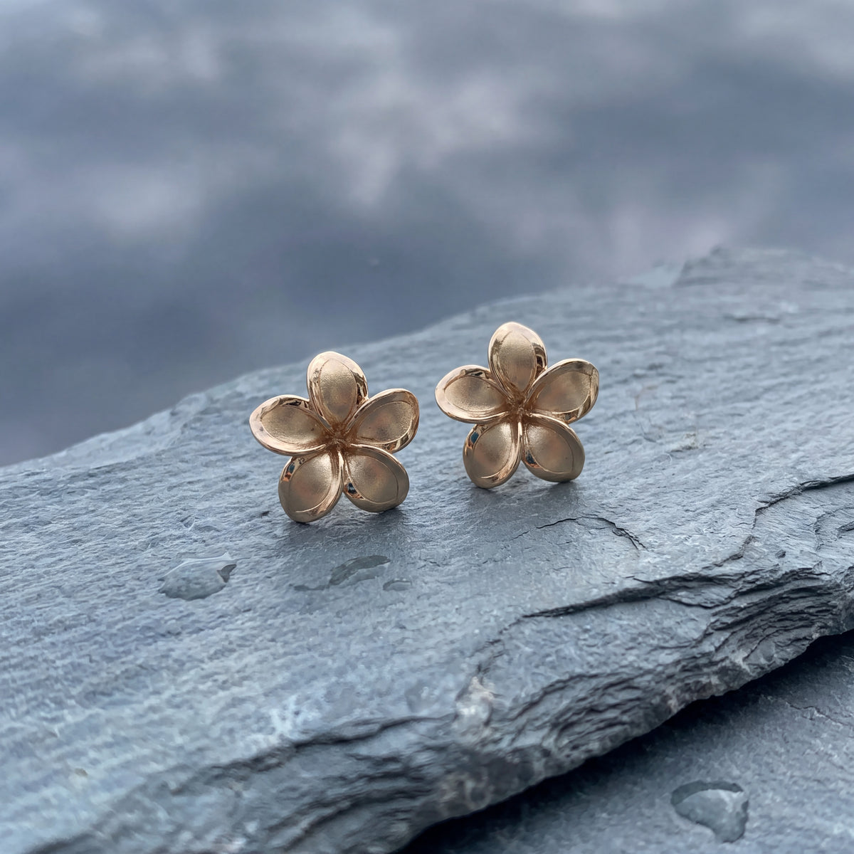 Pair of brushed yellow gold plumeria flower stud earrings