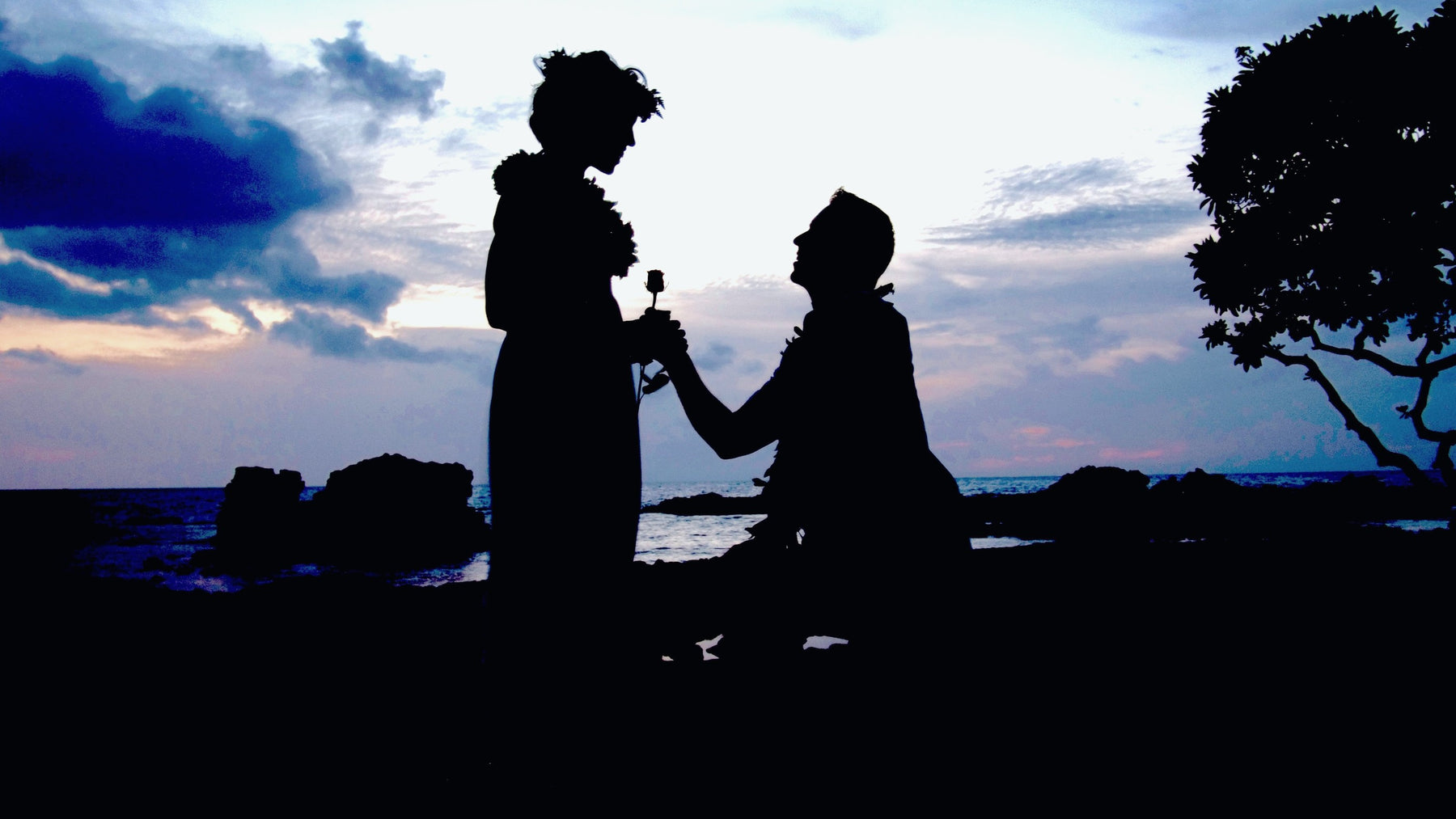 A couple silhouetted at sunset, one kneeling to present a ring