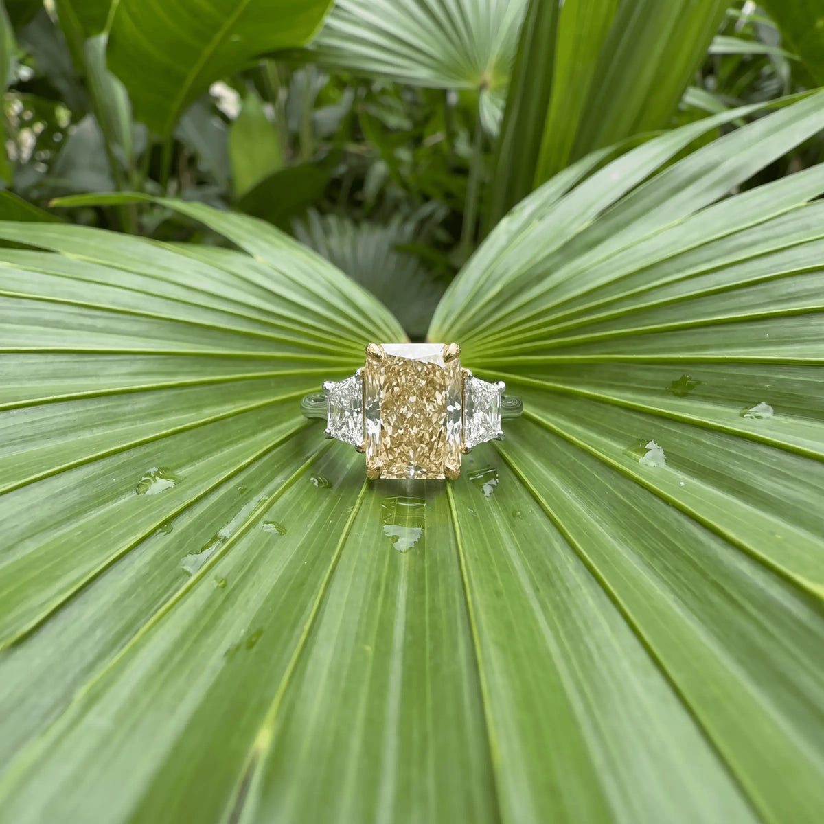 A yellow-center diamond ring resting in a palm leaf