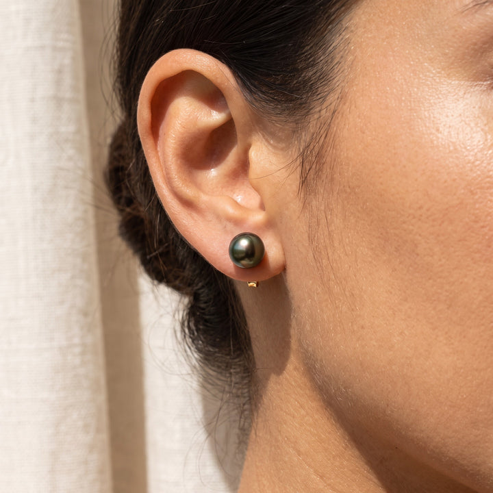 Tahitian Pearl Stud Earrings in 14K Yellow Gold, worn